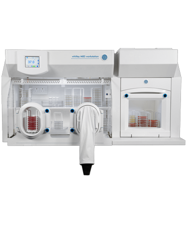 Whitley M85 Workstation